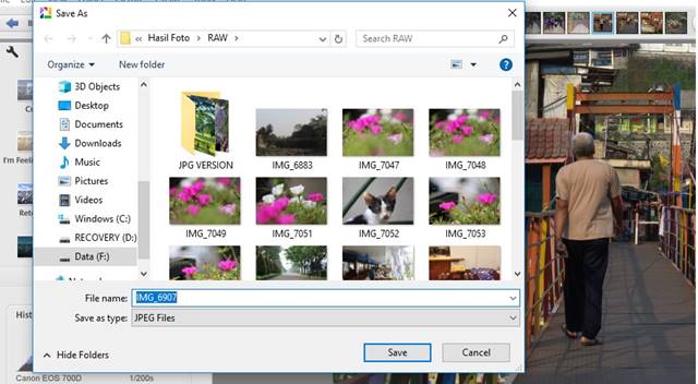 Merubah File RAW Dengan Software Gratisan Picasa C