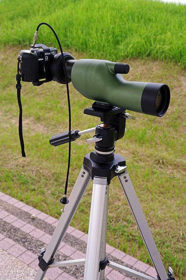 Mengenal digiscoping ketika kamera bergabung dengan teleskop atau mikroskop