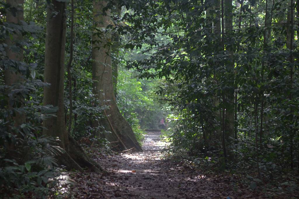Tes Jepret Untuk Memahami Lokasi Pemotretan